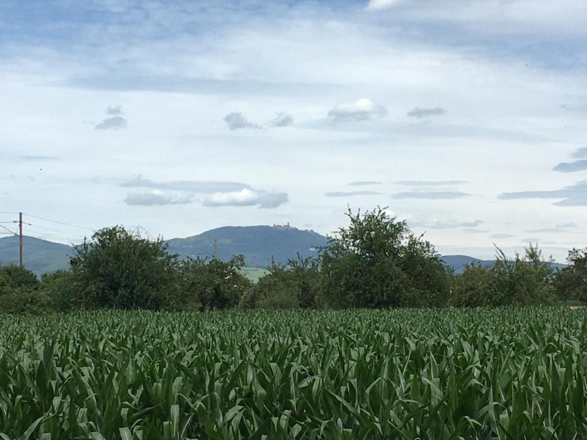 Gite D'Alsace L'Escale Ostheim Buitenkant foto