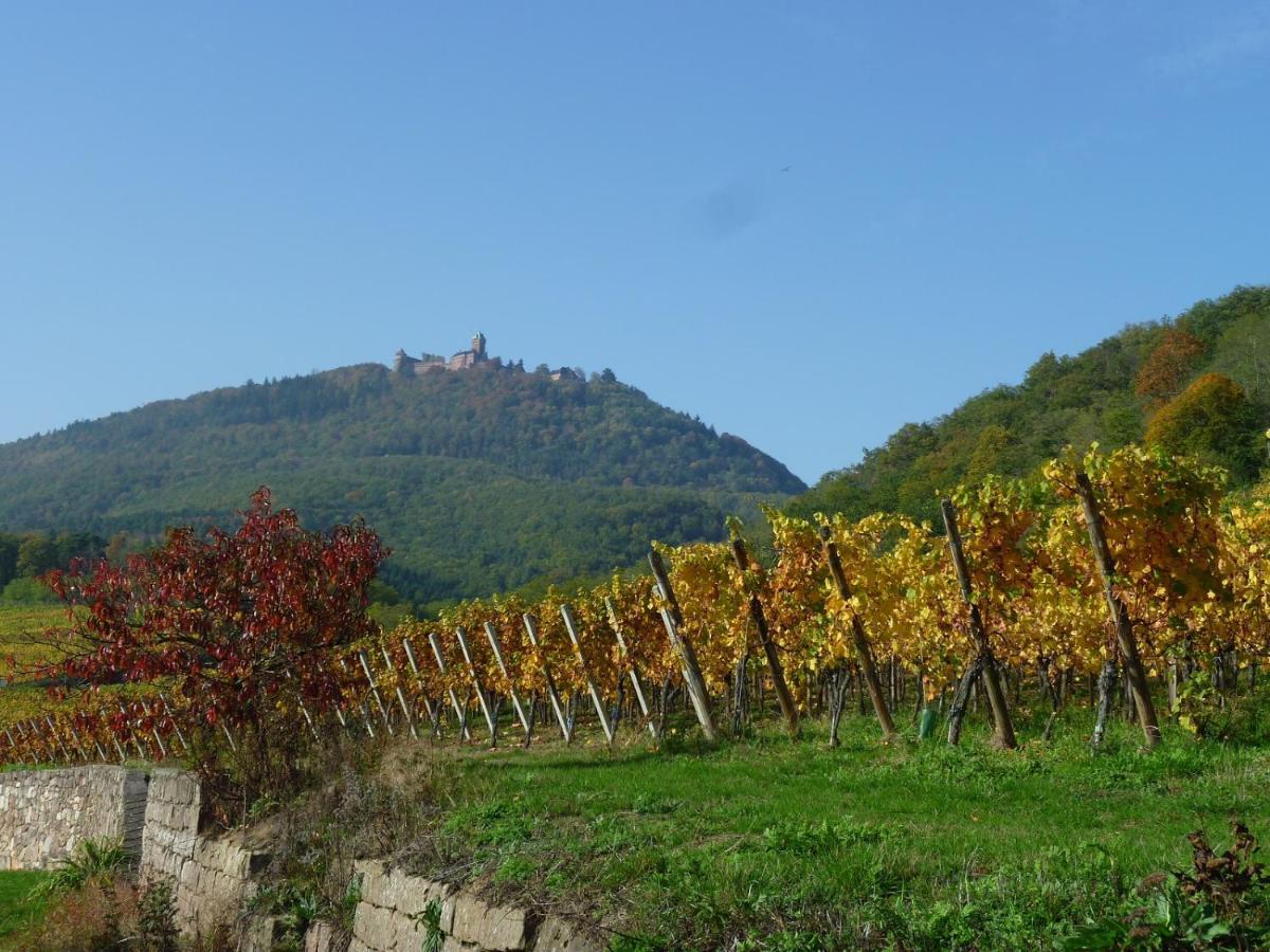 Gite D'Alsace L'Escale Ostheim Buitenkant foto